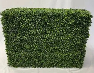 UV Protected Boxwood Hedge Product Image